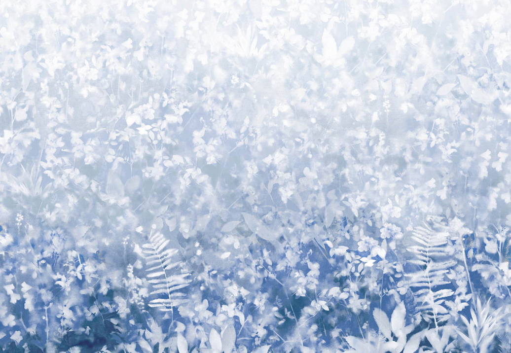 Обои Paint & Paper Library Botany 0360FOBLUEP