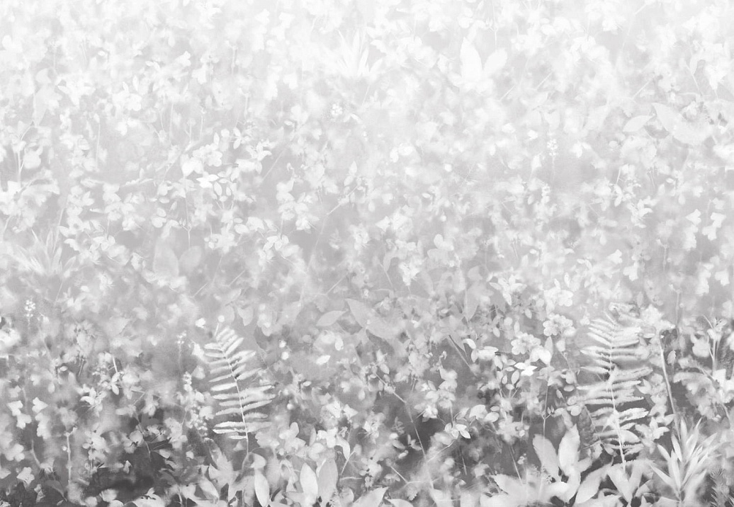 Обои Paint & Paper Library Botany 0360FOPERSE