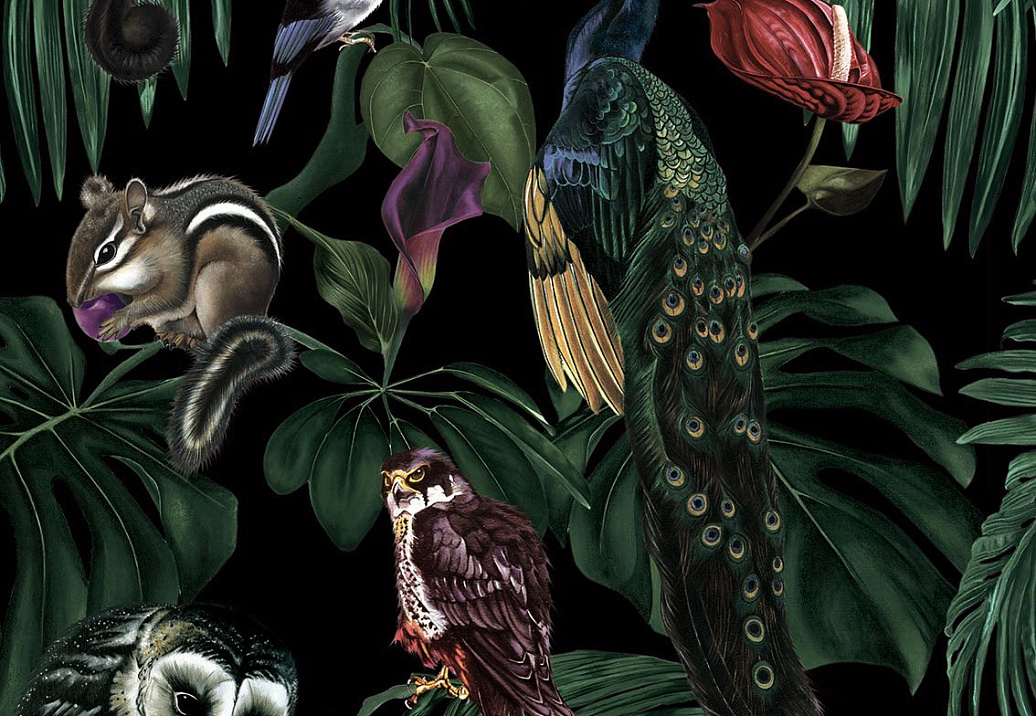 Обои Witch & Watchman Wallpaper Collection Amazonia Dark