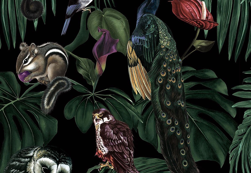 Обои Witch & Watchman Wallpaper Collection Amazonia Dark