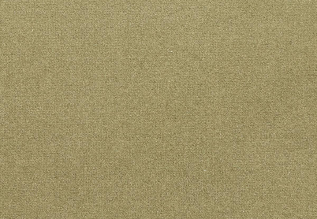 Ткань Loro Piana Doge Velvet AC3018/31