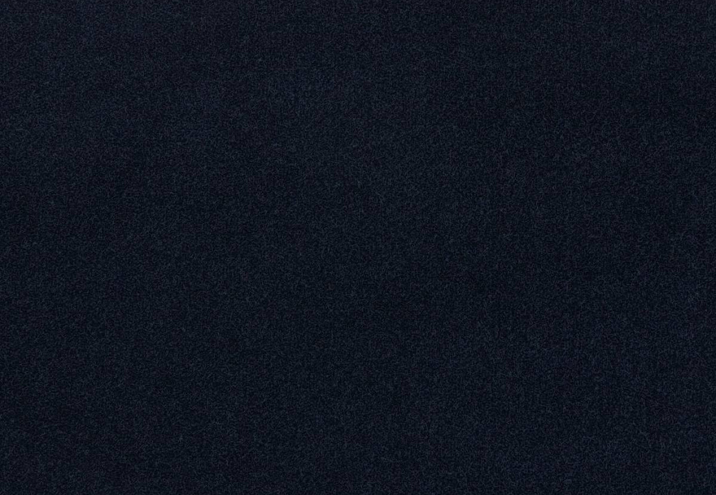 Ткань Loro Piana Doge Velvet AC3018/42