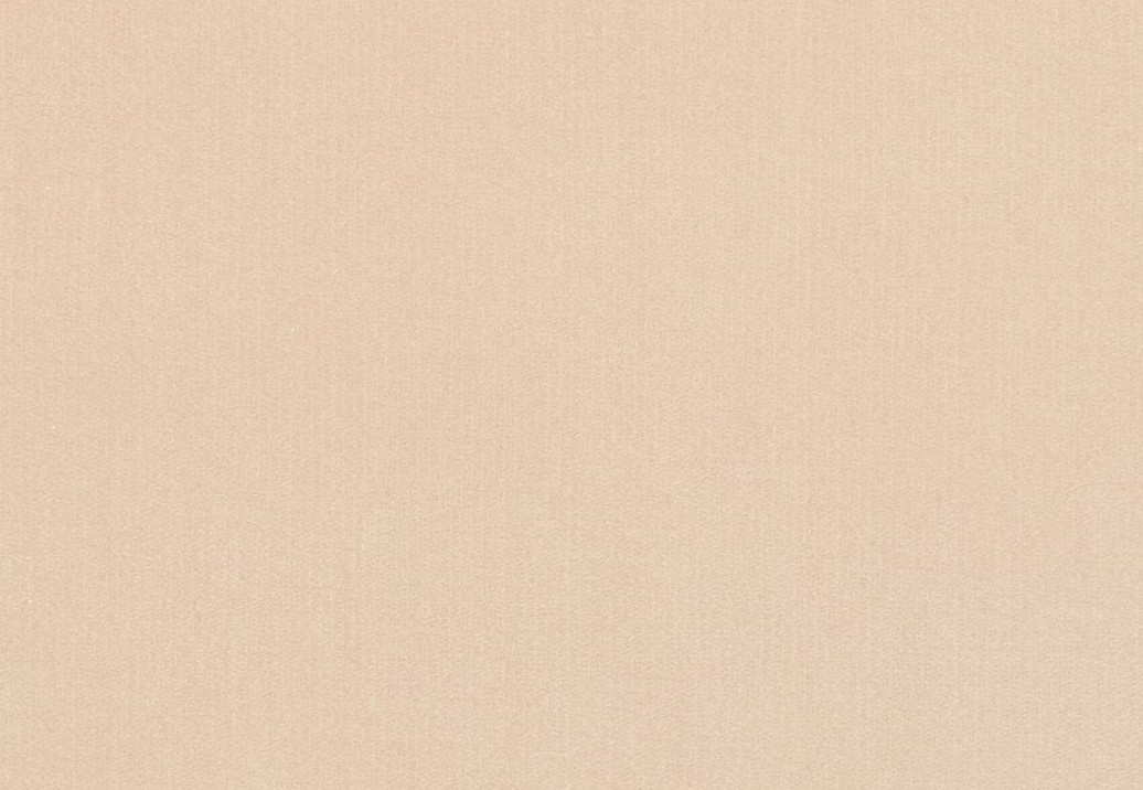 Ткань Loro Piana Doge Velvet AC3018/7