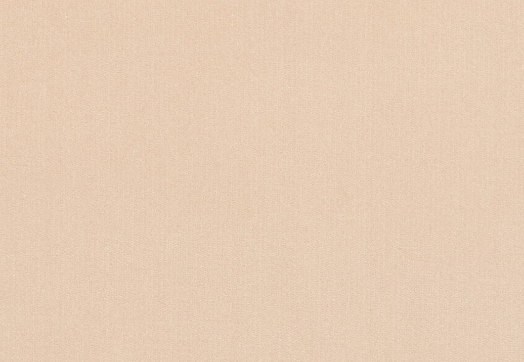 Ткань Loro Piana Doge Velvet AC3018/7