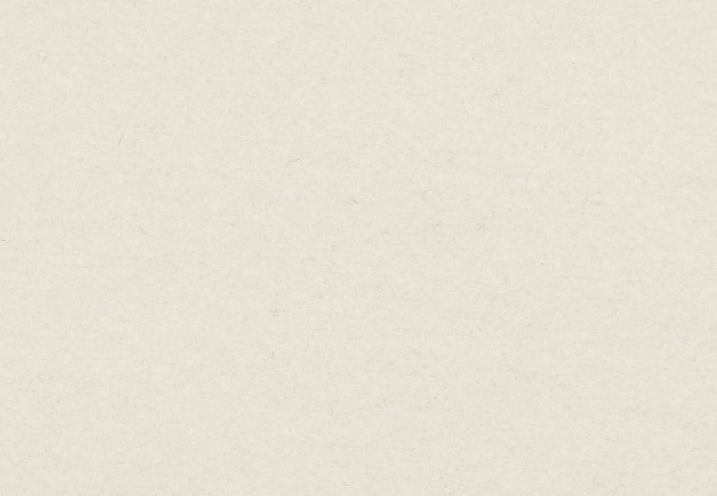 Ткань Loro Piana Doge Wools AWV084RS/1