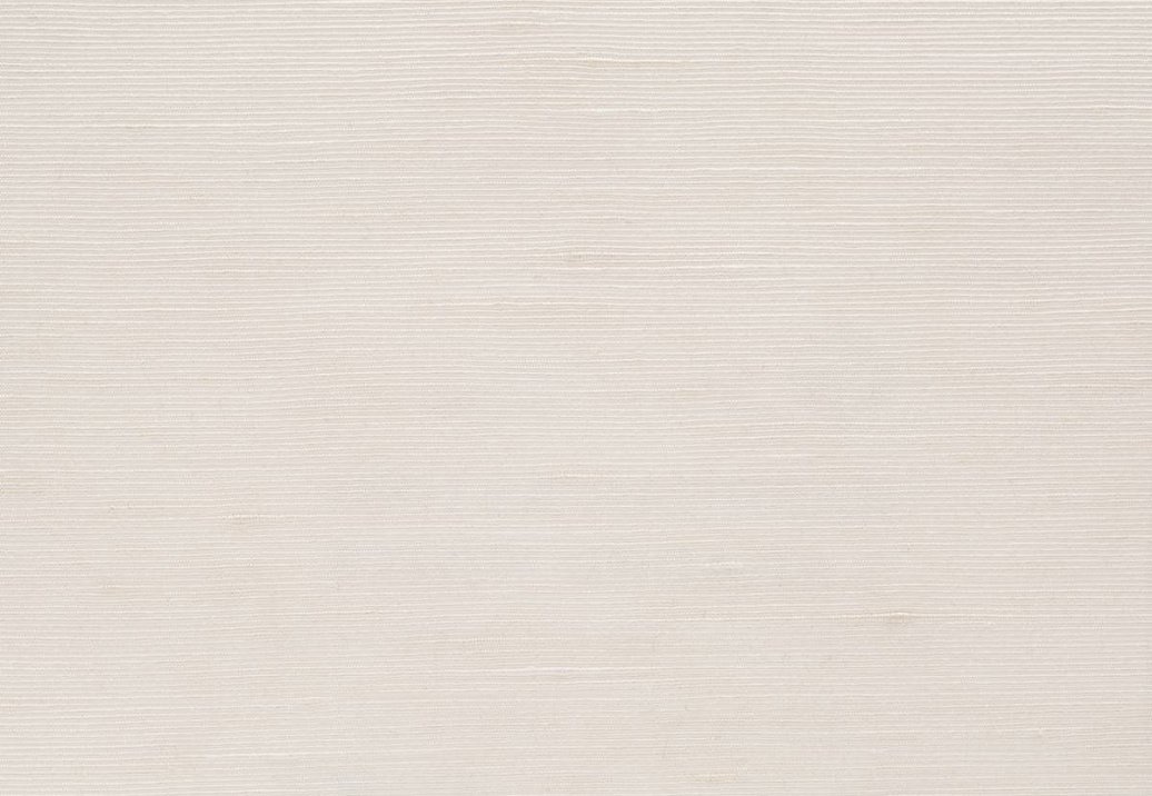 Ткань Loro Piana Le Sete AS1001/1