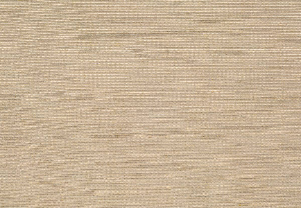 Ткань Loro Piana Le Sete AS1001/9