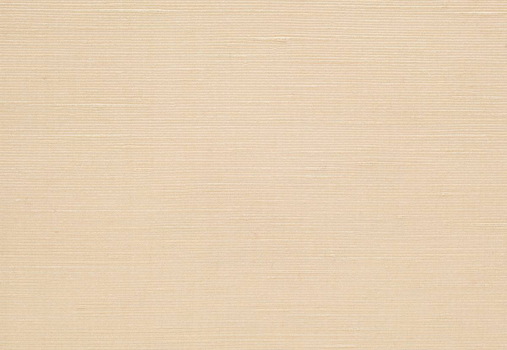 Ткань Loro Piana Le Sete AS1001/10