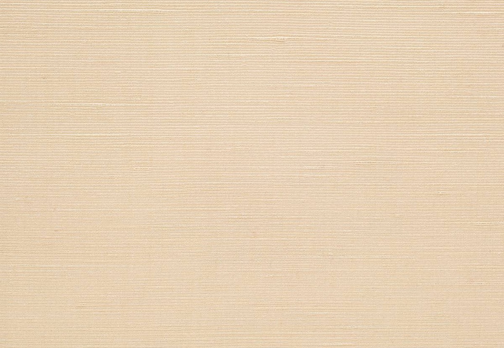 Ткань Loro Piana Le Sete AS1001/10