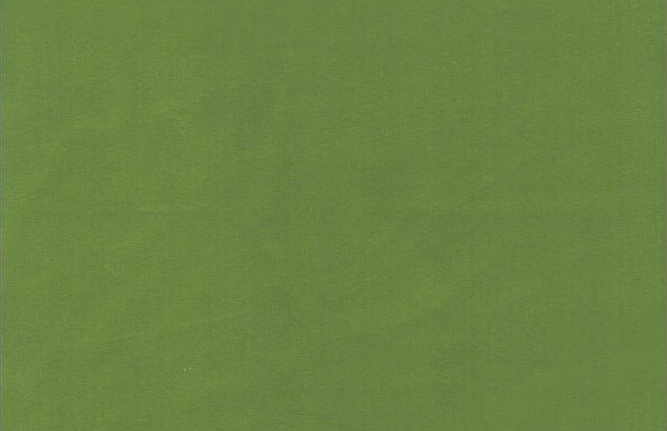 Ткань KAI Koji Koji/Aloe