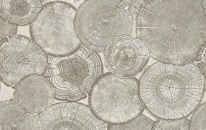 Бельгийская ткань Daylight, коллекция Lemvig, артикул Roslagen/Fossil