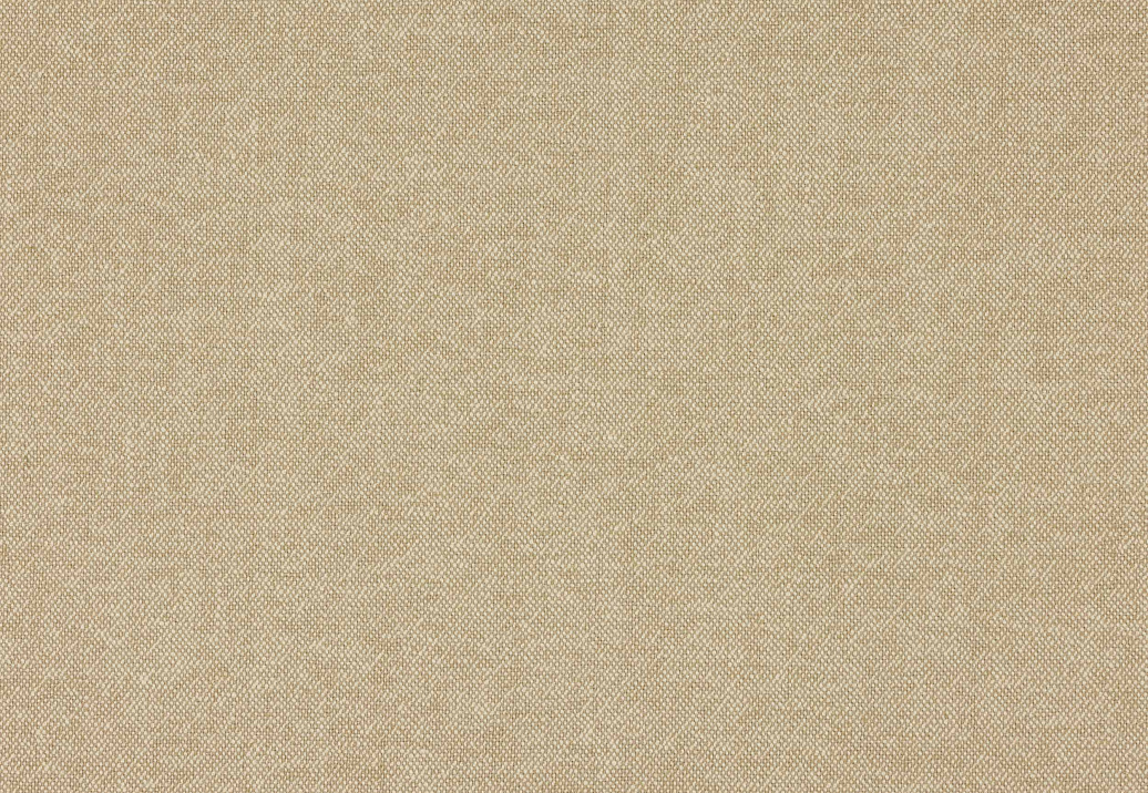 Ткань Colefax and Fowler Tyndall Linen F4686/26