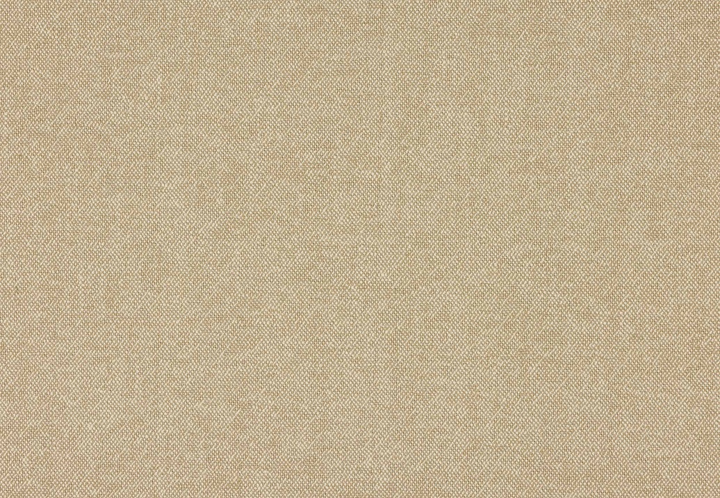 Ткань Colefax and Fowler Tyndall Linen F4686/26