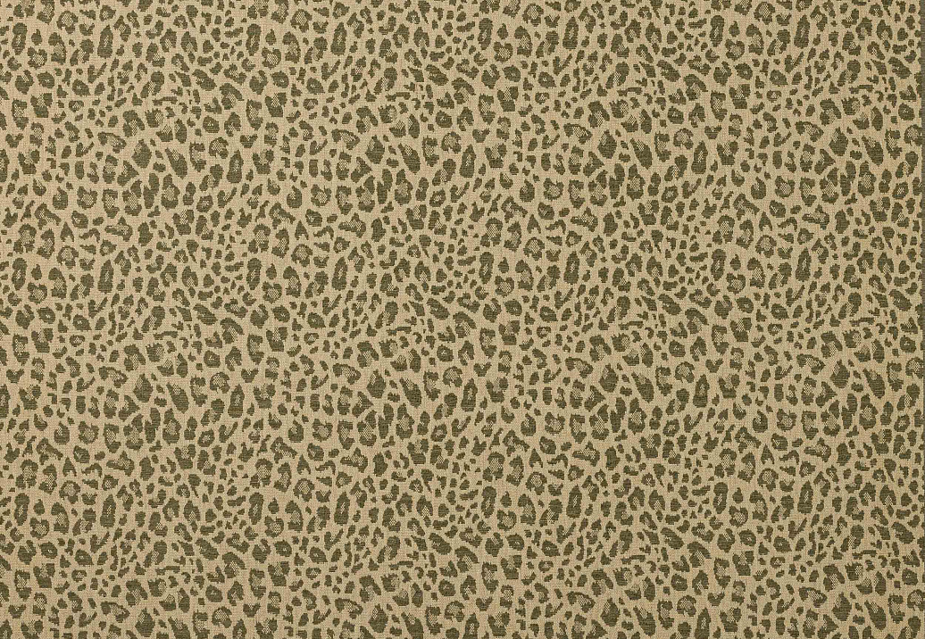 Ткань Colefax and Fowler Chester F4854/05