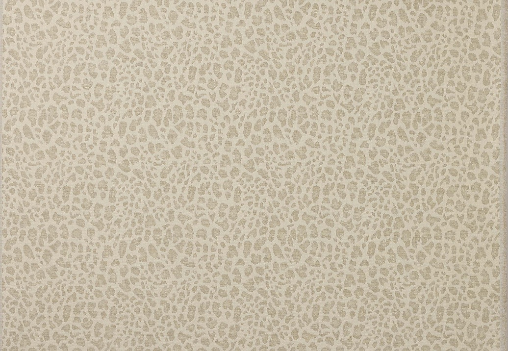Ткань Colefax and Fowler Chester F4854/04