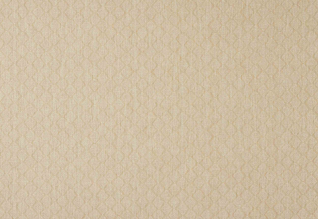 Ткань Colefax and Fowler Chester F4850/06