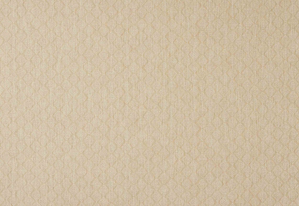 Ткань Colefax and Fowler Chester F4850/06