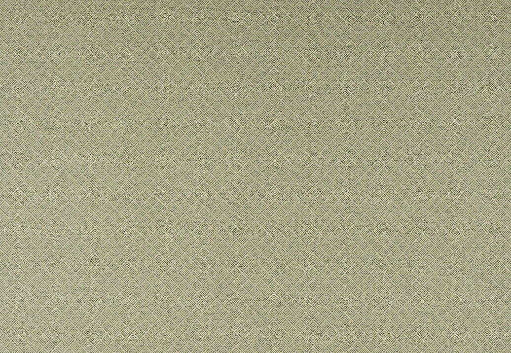 Ткань Colefax and Fowler Chester F4863/04
