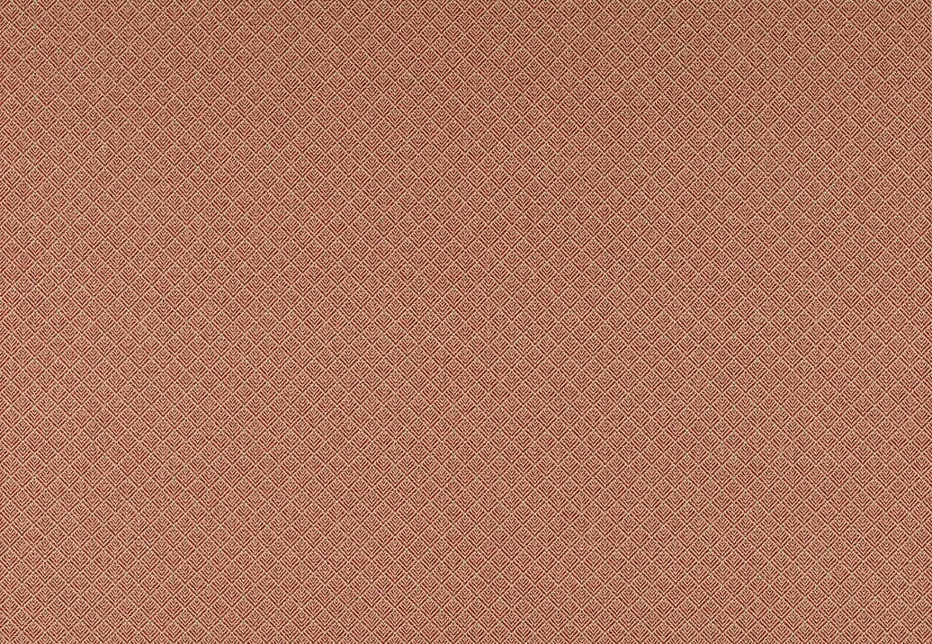 Ткань Colefax and Fowler Chester F4863/05