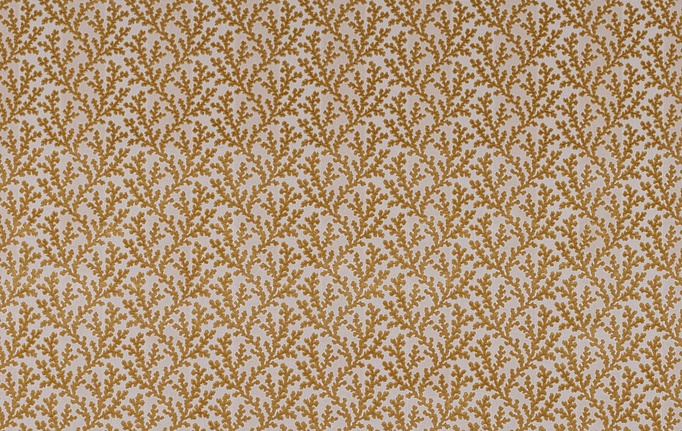 Английская ткань Colefax and Fowler, коллекция Pelham, артикул F4857/05