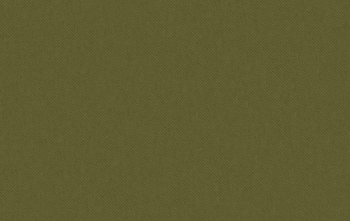 Бельгийская ткань Galleria Arben, коллекция Antwerp, артикул Winterweave/15/Military