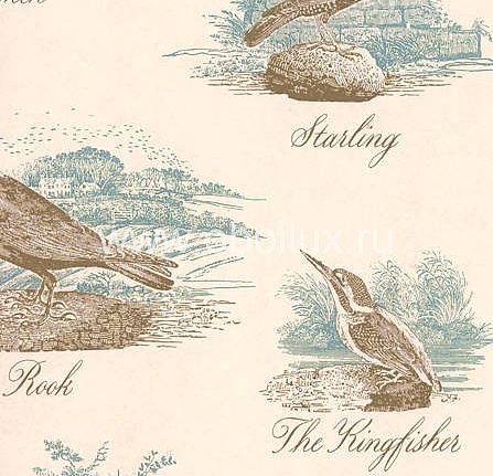 Обои Lewis & Wood Book I - Sporting & Character LW153120/Bewick Birds Sea Holly