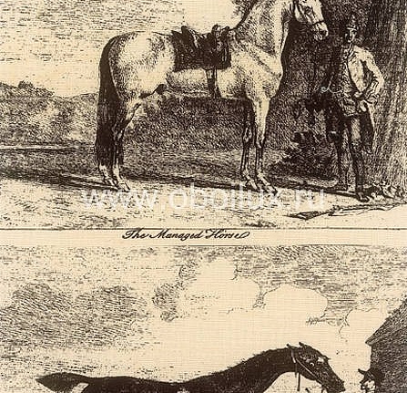 Обои Lewis & Wood Book I - Sporting & Character LW95106/Gilpin Horses Black