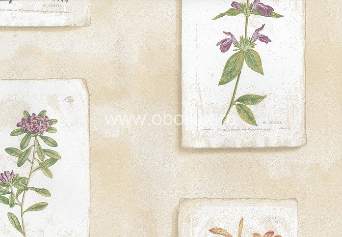 Обои Lewis & Wood Book I - Sporting & Character LW5063/Curtis Botanical Taupe