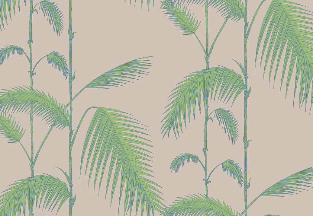 Обои Cole & Son New Contemporary 66/2011