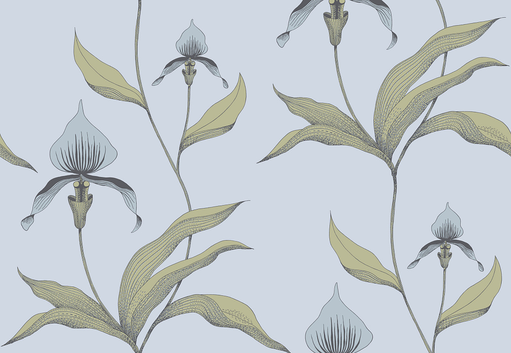 Обои Cole & Son New Contemporary 66/4026