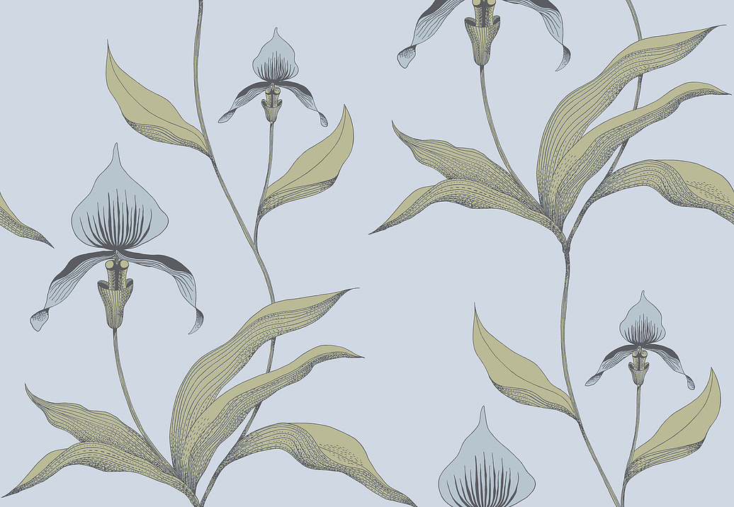 Обои Cole & Son New Contemporary 66/4026