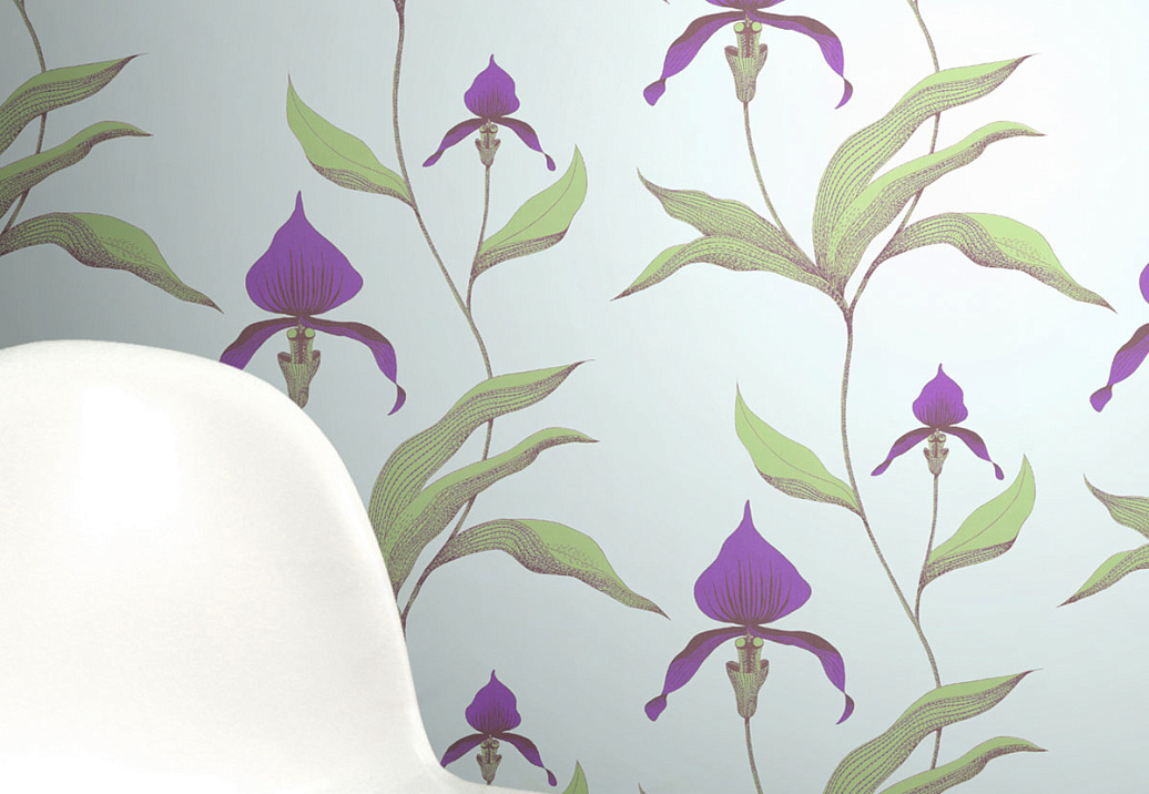 Обои Cole & Son New Contemporary 66/4027