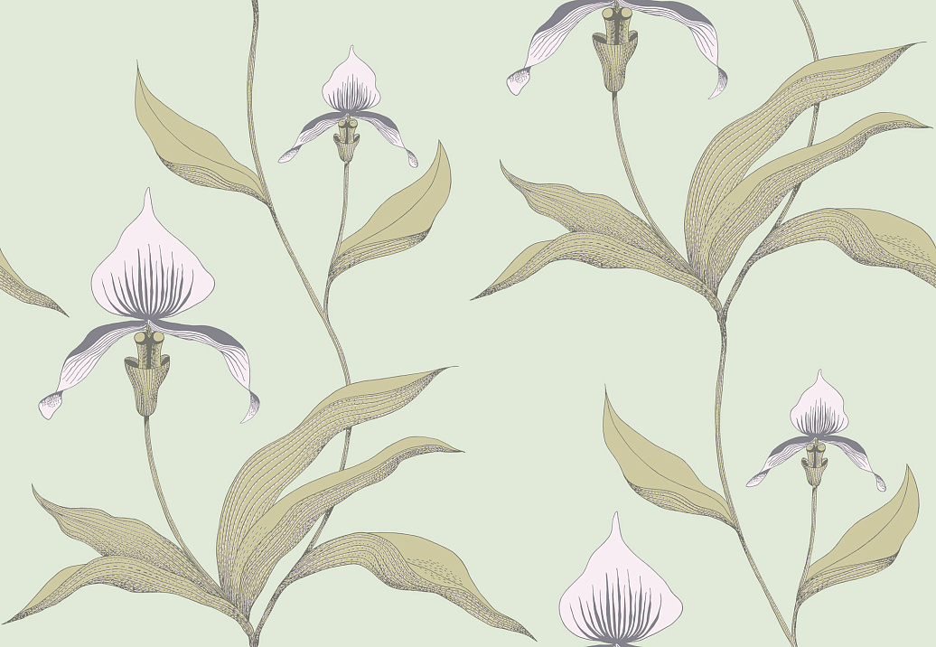 Обои Cole & Son New Contemporary 66/4028