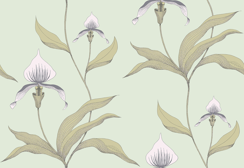 Обои Cole & Son New Contemporary 66/4028