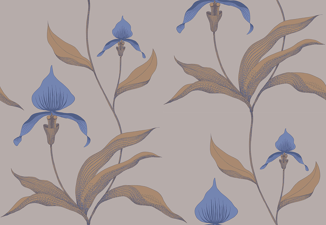 Обои Cole & Son New Contemporary 66/4032