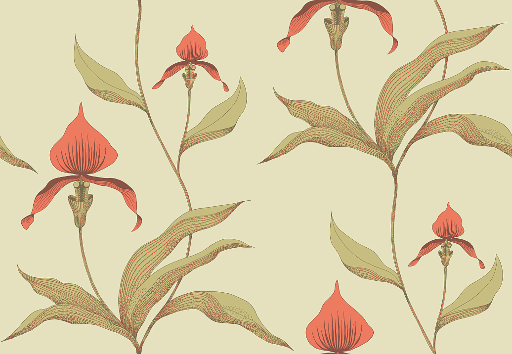 Обои Cole & Son New Contemporary 66/4033