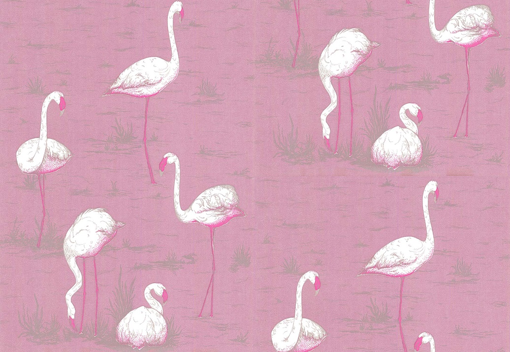 Обои Cole & Son New Contemporary 66/6043