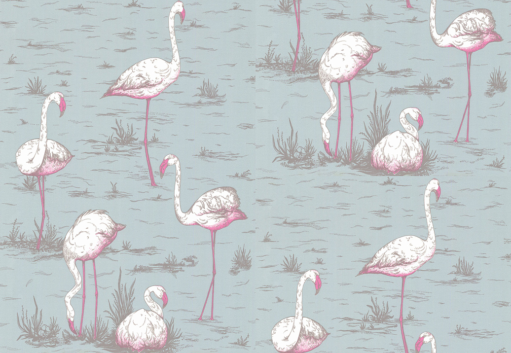 Обои Cole & Son New Contemporary 66/6044