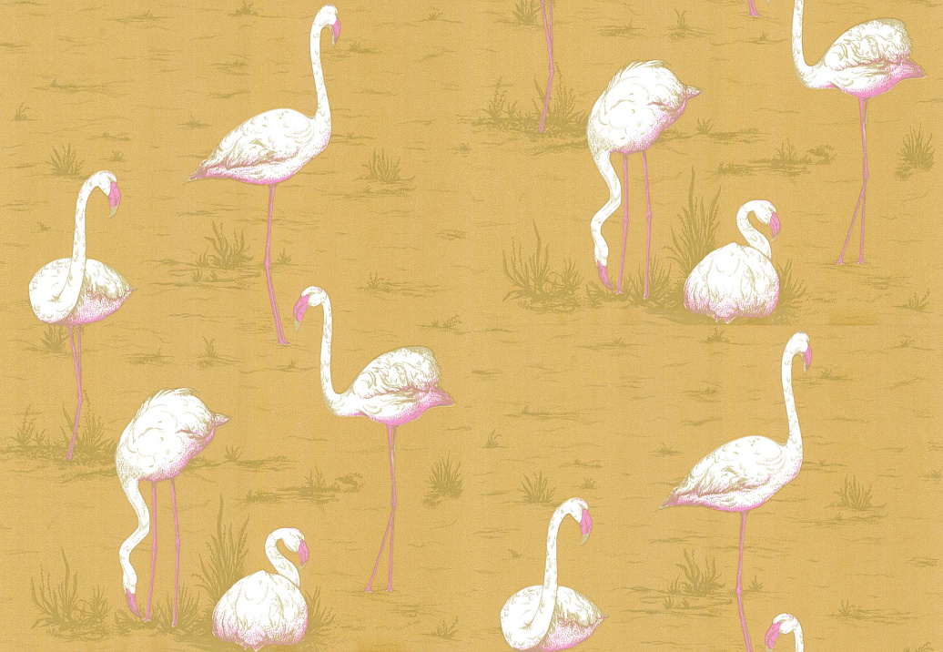 Обои Cole & Son New Contemporary 66/6045