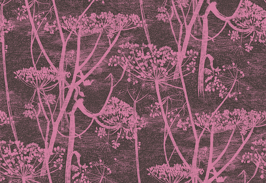 Обои Cole & Son New Contemporary 66/7047