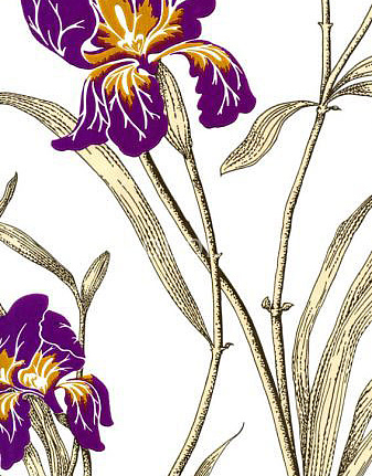 Обои Cole & Son The Contemporary III 83/2005
