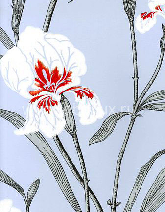 Обои Cole & Son The Contemporary III 83/2007