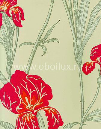 Обои Cole & Son The Contemporary III 83/2009
