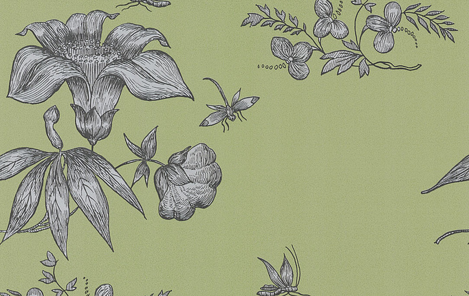 Английские обои Cole & Son, коллекция Fornasetti, артикул 77/8028