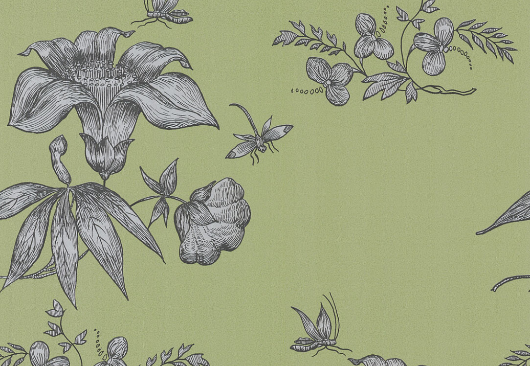 Обои Cole & Son Fornasetti 77/8028