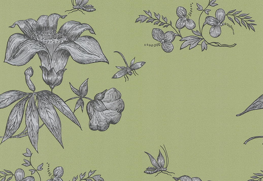 Обои Cole & Son Fornasetti 77/8028