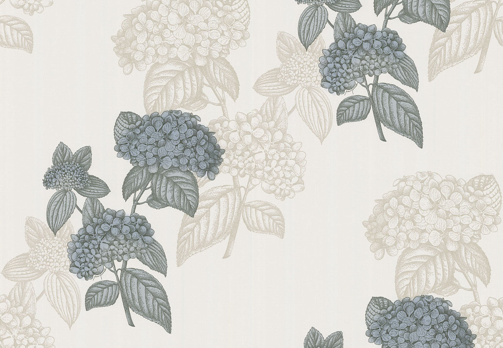 Обои Cole & Son Fornasetti 77/10037