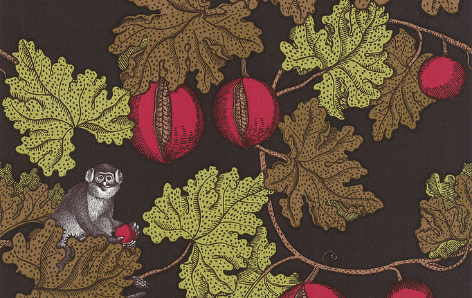 Английские обои Cole & Son, коллекция Fornasetti, артикул 77/12045