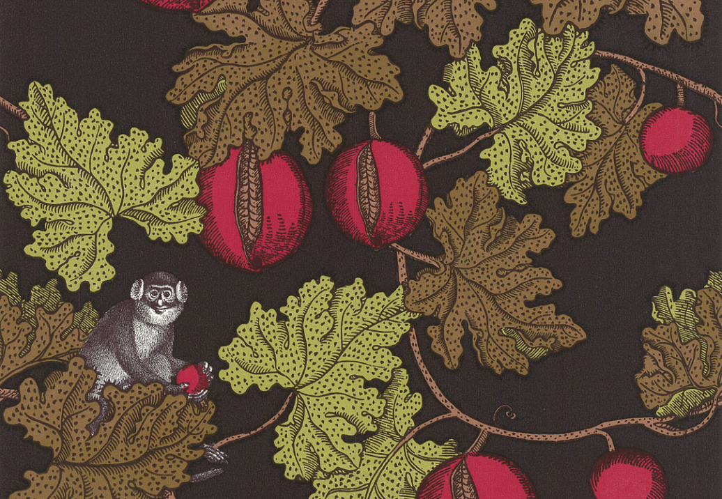 Обои Cole & Son Fornasetti 77/12045