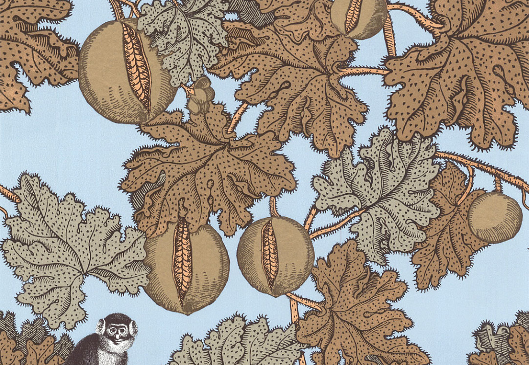 Обои Cole & Son Fornasetti 77/12046